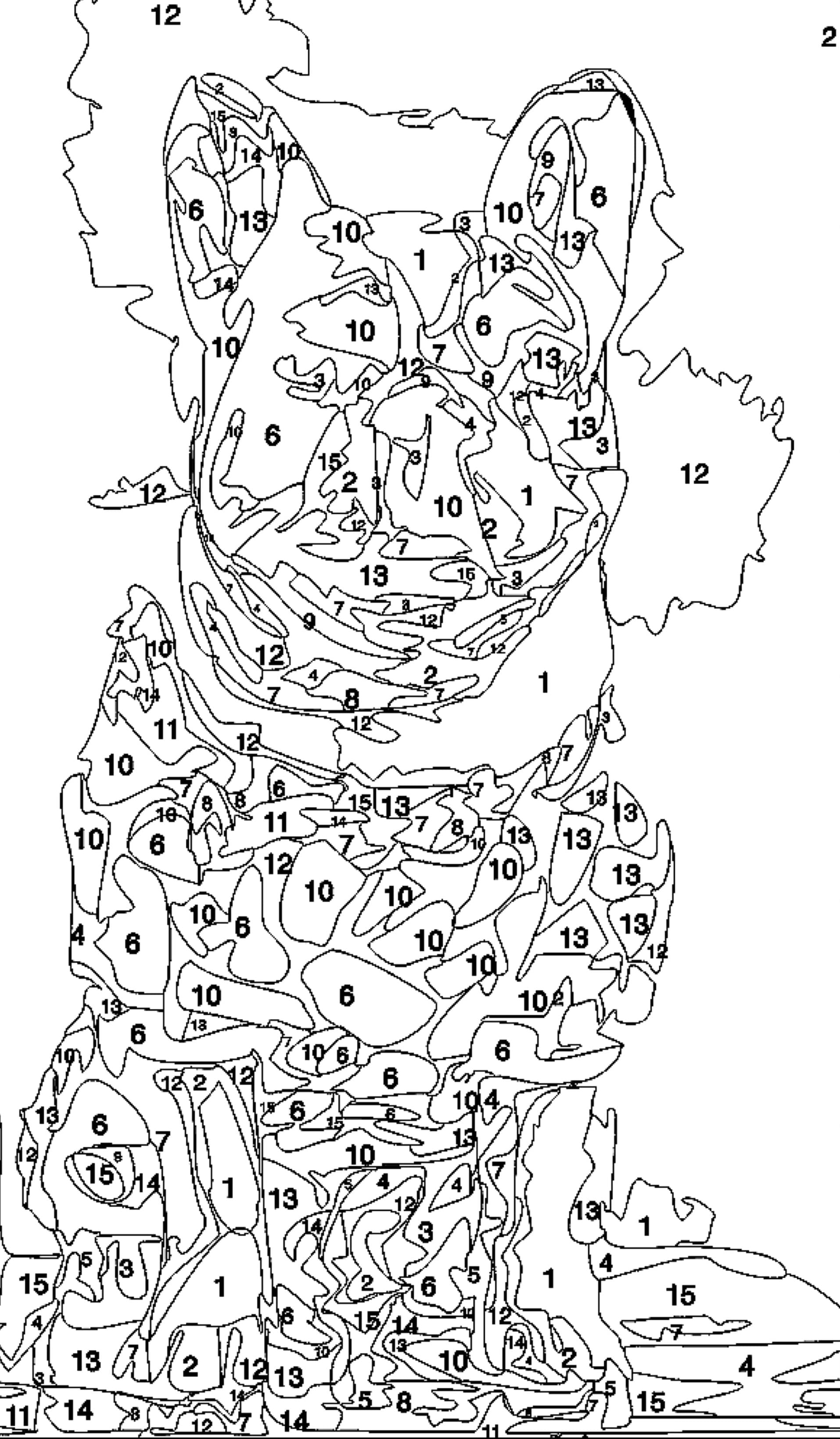 PBN Outline